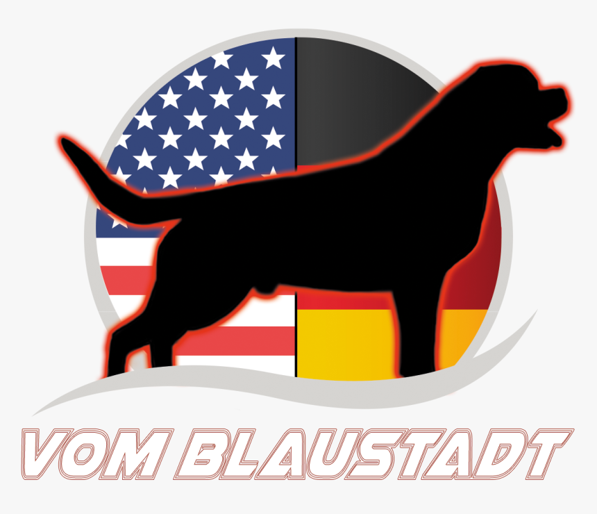 Vom Blaustadt Logo - United States, HD Png Download, Free Download