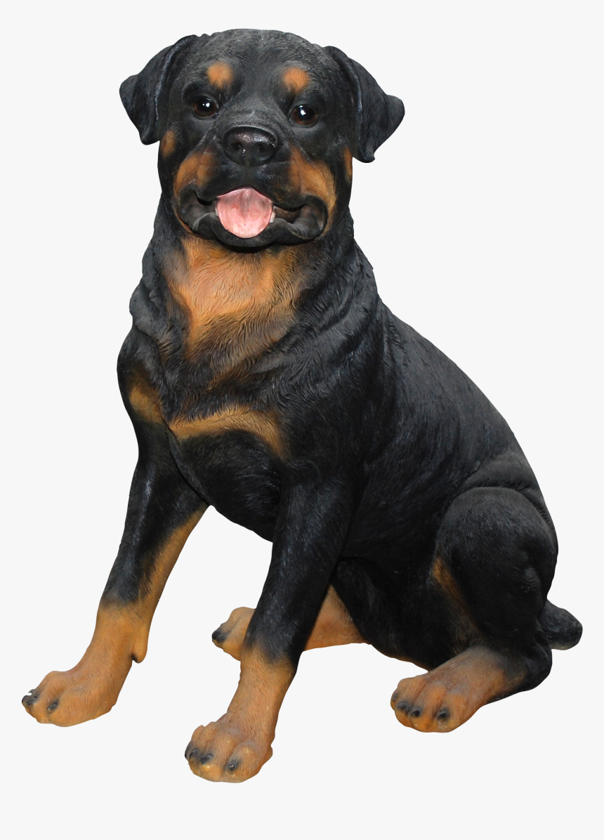 Vivid Arts Resin Rottweiler Large - Labrador Golden Retriever Rotvailer, HD Png Download, Free Download