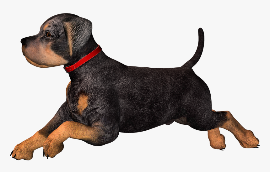 Rottweiler Dachshund Puppy Clip Art - Clip Art Immagini Cani, HD Png Download, Free Download