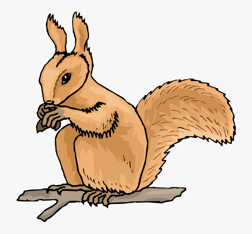 Free Squirrel Clipart - Squirrel Clipart, HD Png Download, Free Download