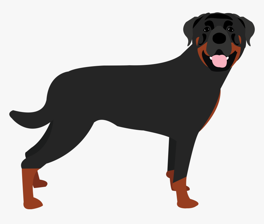 Rottweiler Png, Transparent Png, Free Download