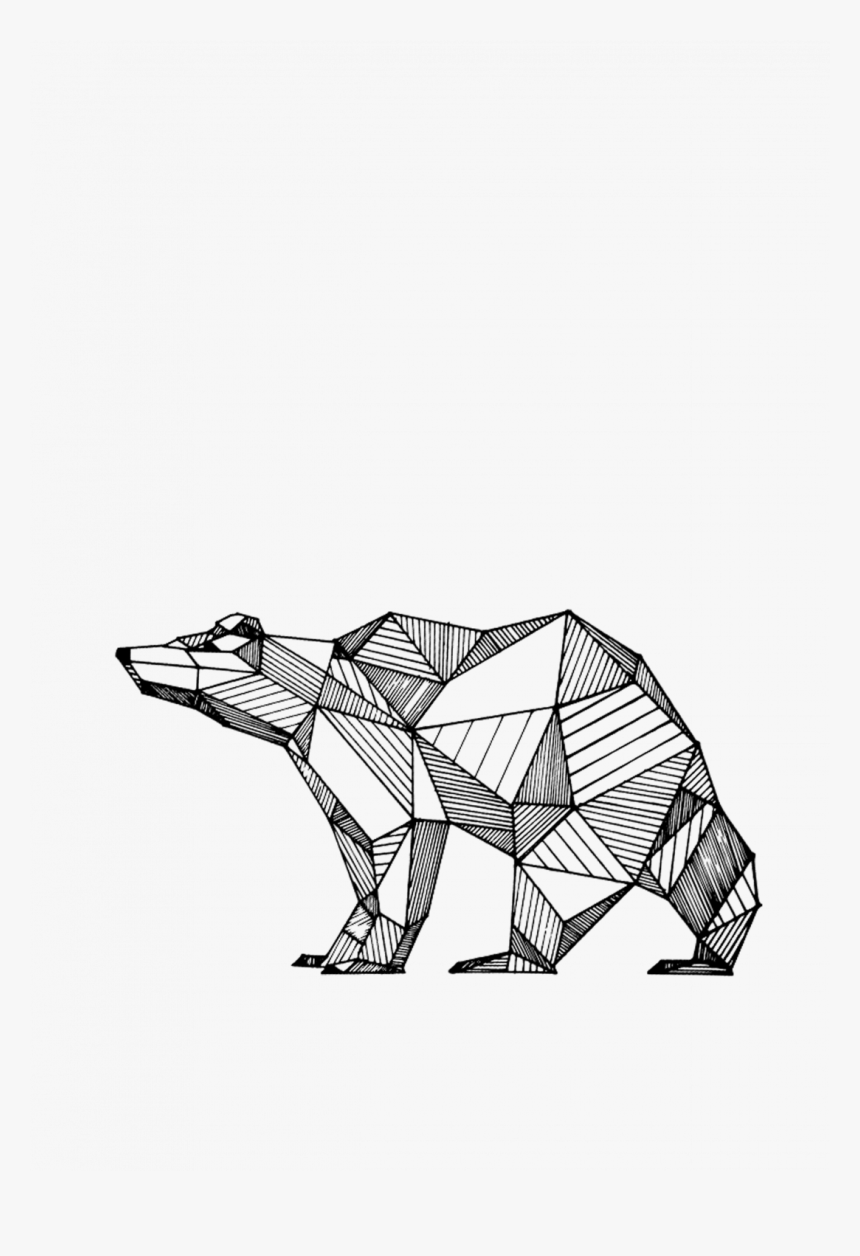 How To Draw A Black Bear Face Realistic Polar Step - Animal Geometric Line Art, HD Png Download, Free Download