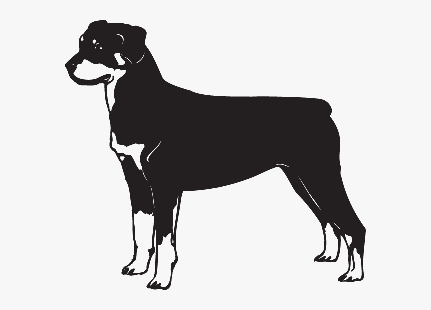 Rottweiler Black And White, HD Png Download, Free Download