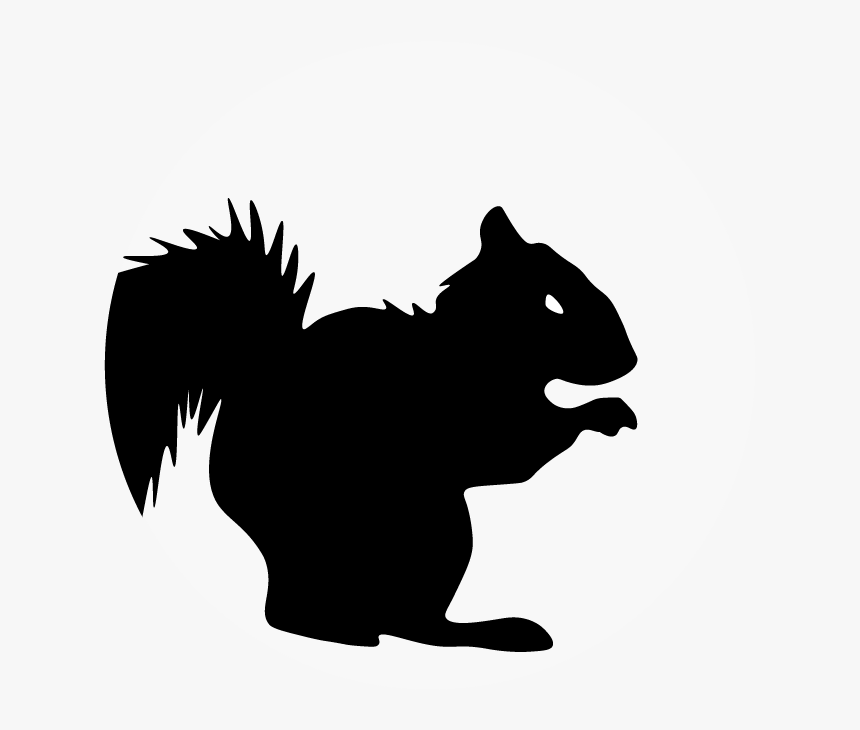 Squirrel Illustration- - Illustration, HD Png Download, Free Download