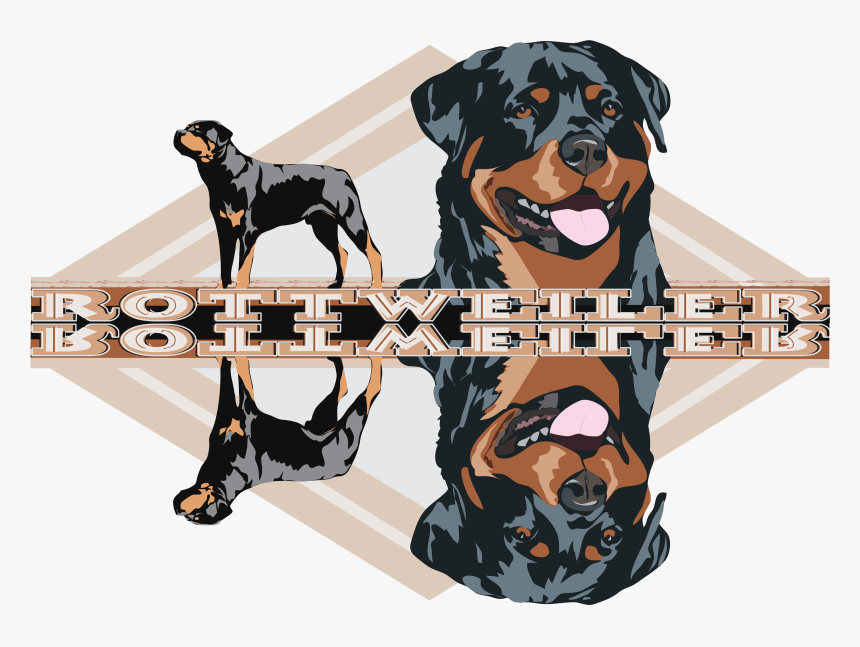 Rottweiler Dog And The Head Of Rottweiler Dog With - Dog Yawns, HD Png Download, Free Download