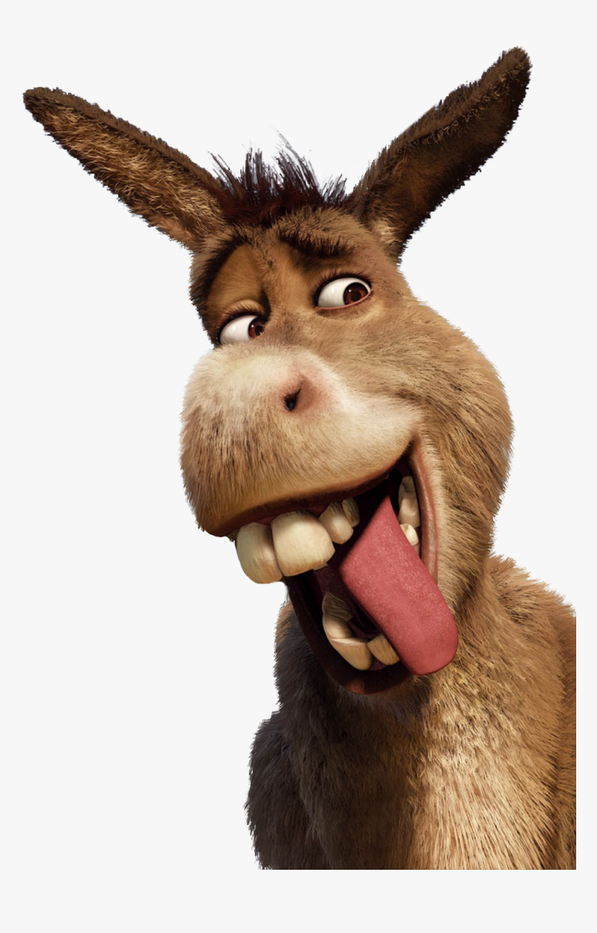 Donkey Shrek Smile - Shrek Forever After Poster, HD Png Download - kindpng.