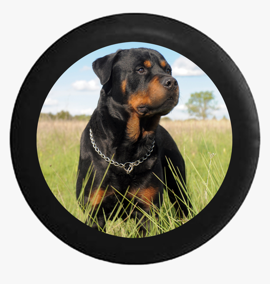 Spare Tire Cover Loyal Rottweiler In A Field Black - Cachorro Rottweiler, HD Png Download, Free Download