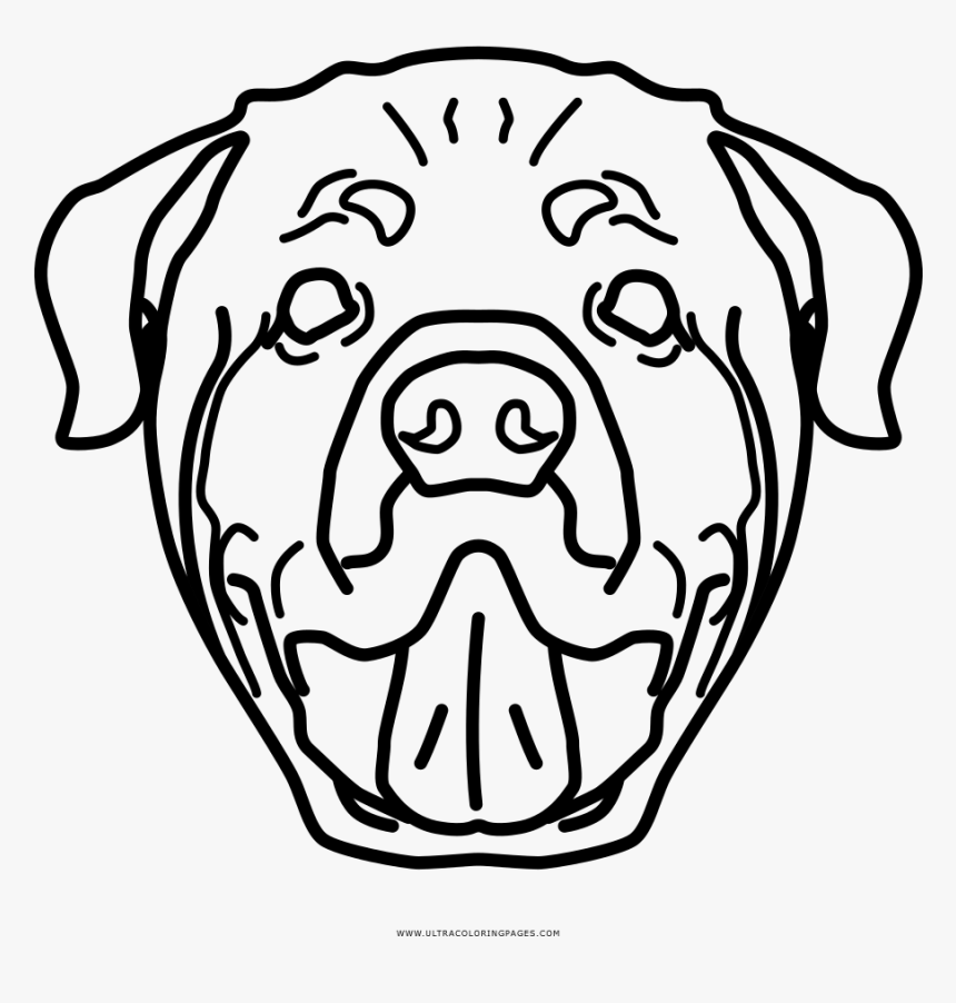 Rottweiler Coloring Page - Dog Rottweiler Para Colorir, HD Png Download, Free Download