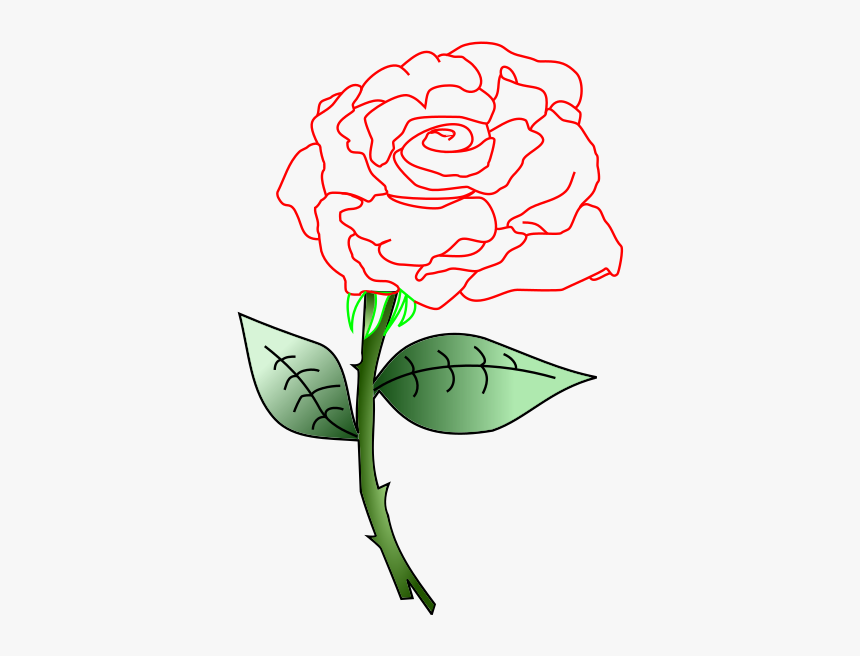 Single Rose Clip Arts - Garden Roses, HD Png Download, Free Download