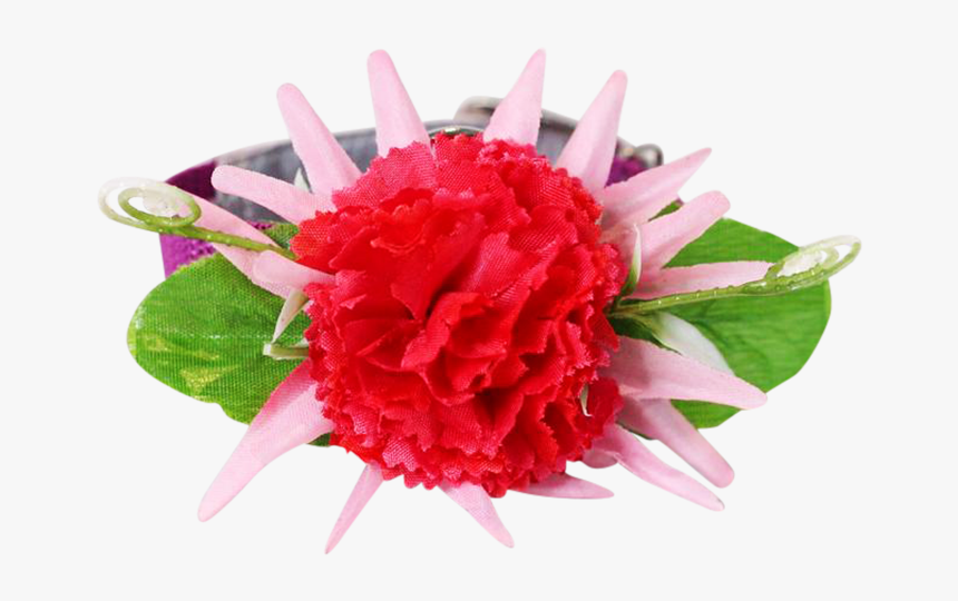 Carnation, HD Png Download, Free Download