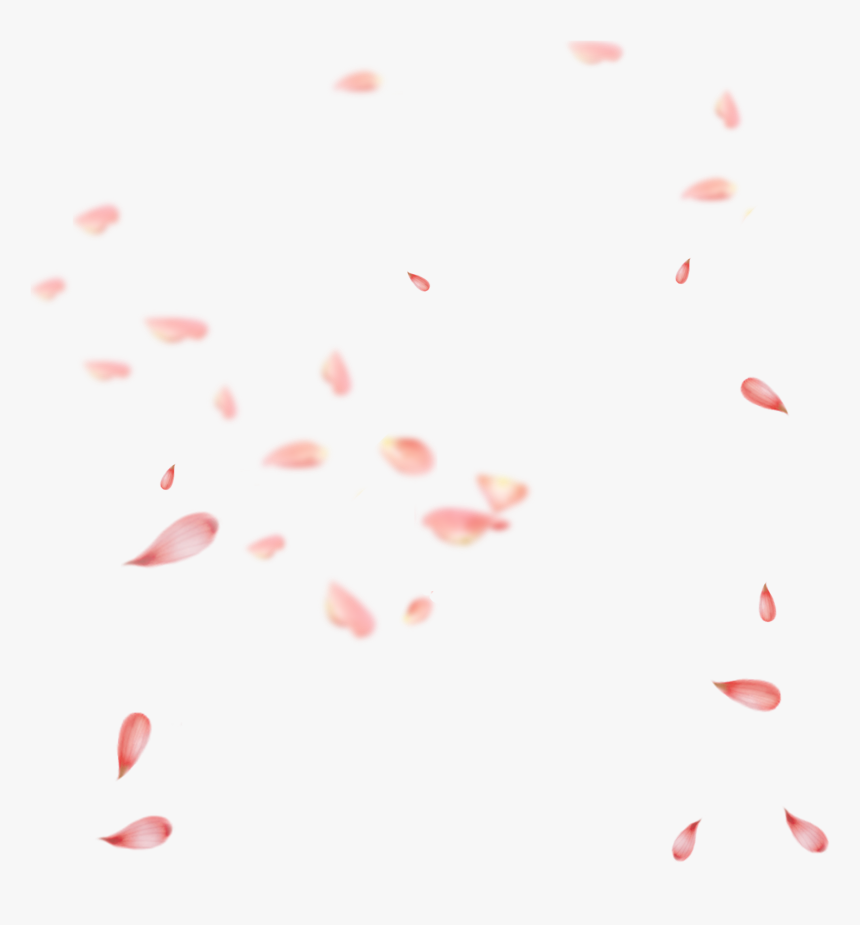 Petal Pink Gratis Transprent - Cherry Blossom Petals Png, Transparent Png, Free Download