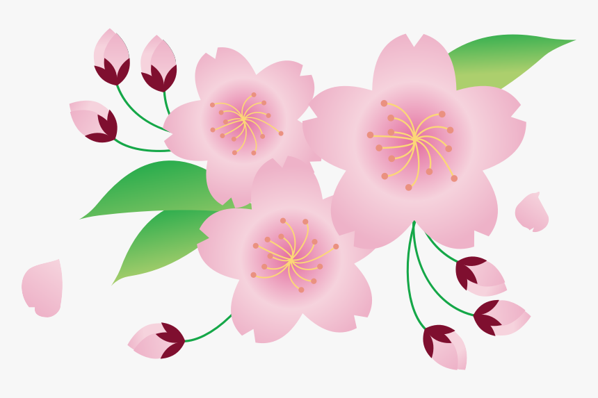 Sakura - Sakura Flower Clip Art, HD Png Download, Free Download