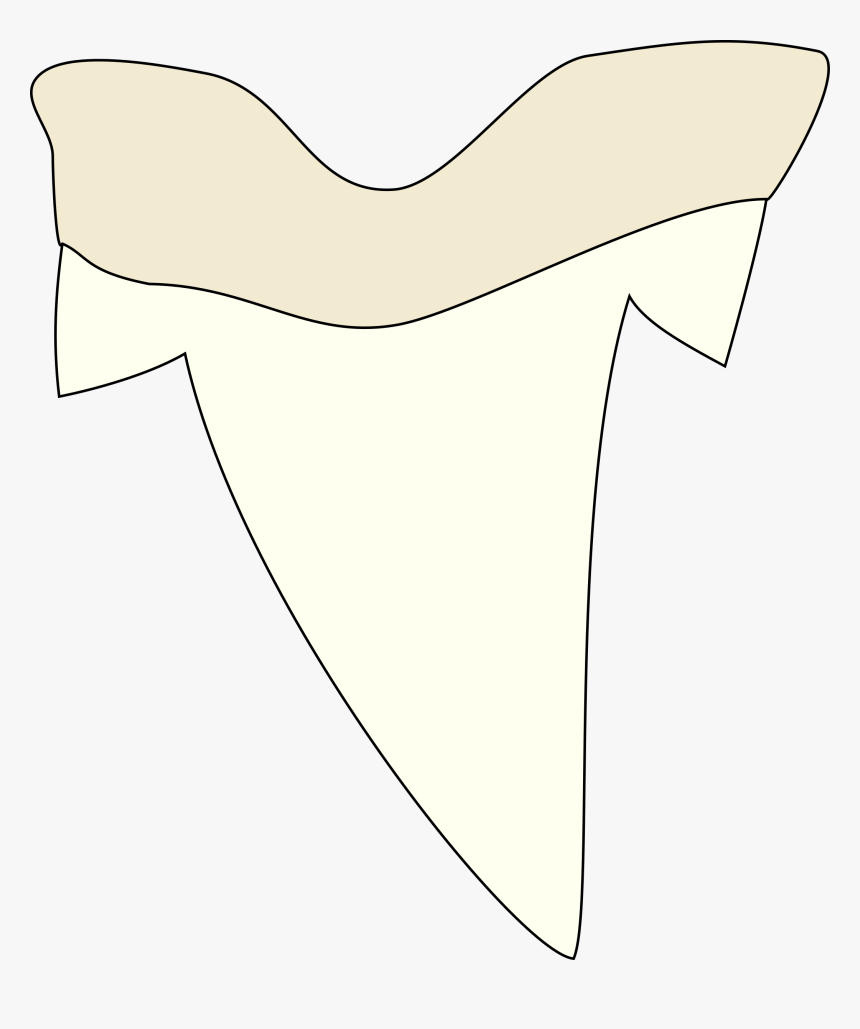 Shark Tooth Clipart - Sketch Of Shark Teeth, HD Png Download, Free Download