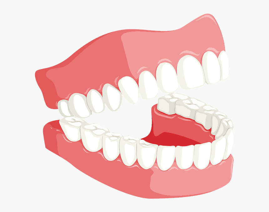 Transparent Brush Teeth Clipart - Dentures Clipart, HD Png Download, Free Download