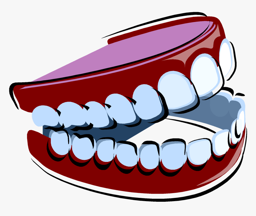 Clip Art False Teeth Clipart - Dentures Clipart, HD Png Download, Free Download