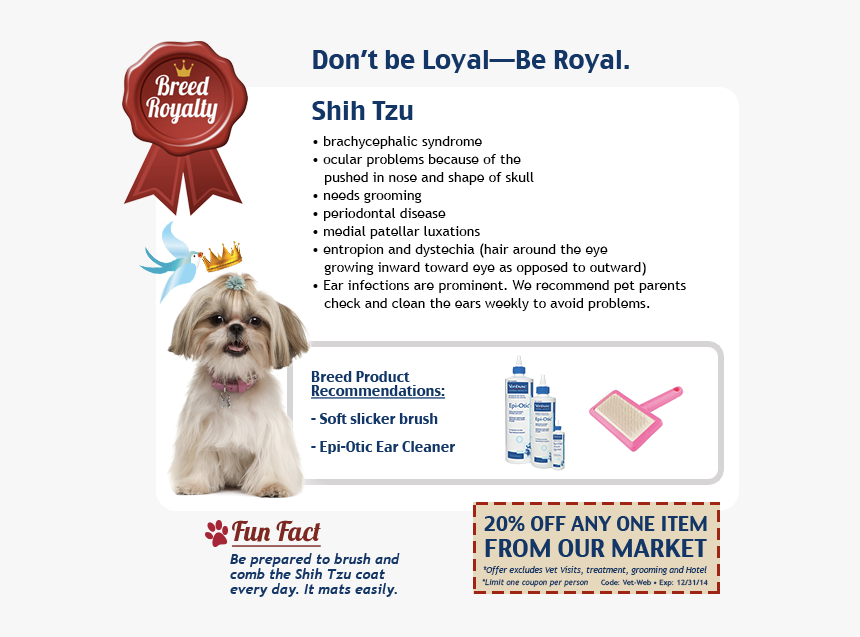 Shih Tzu Mockup - Companion Dog, HD Png Download, Free Download