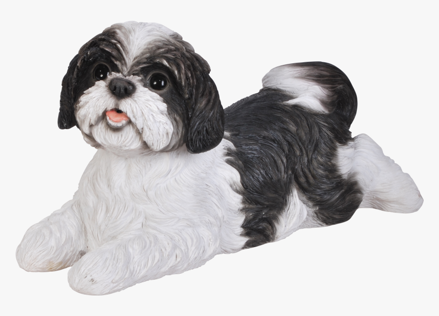 Black And White Shih Tzu Clipart , Transparent Cartoons - Black And White Shih Tzu Clipart, HD Png Download, Free Download