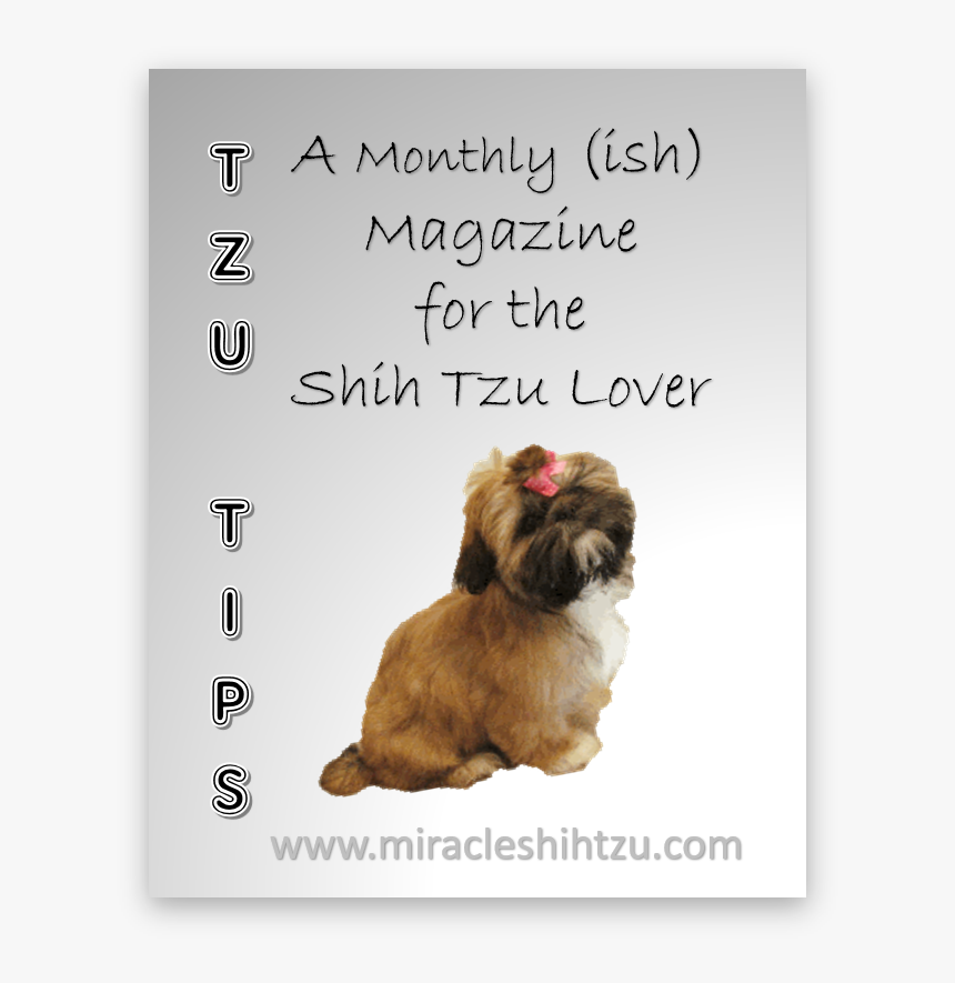 Free Shih Tzu Magazine - Shih Tzu, HD Png Download, Free Download