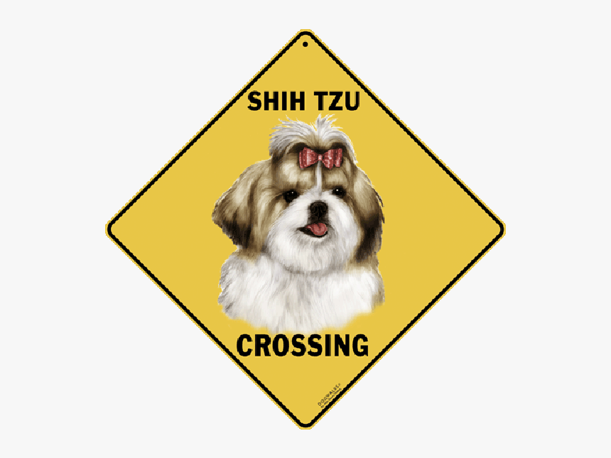 Tortoise Crossing Sign, HD Png Download, Free Download