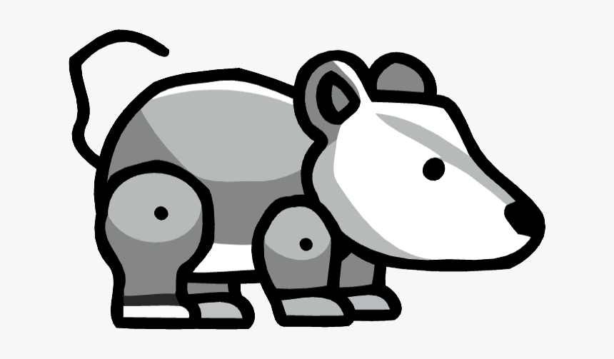 Opossum, HD Png Download, Free Download