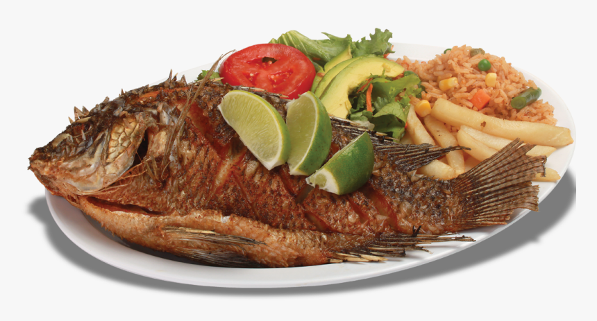 Mojarra Frita - Tilápia Frito Png, Transparent Png, Free Download