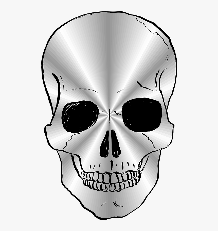 Skull, Silver, Silver-plated, Vector, Illustration - Silver Skull Png, Transparent Png, Free Download