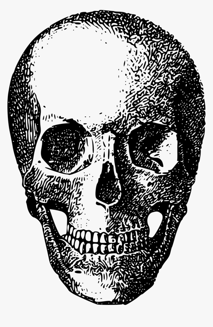 Bone Game Asset Call Skeleton Free Photo - Skull, HD Png Download, Free Download