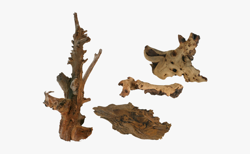 Aquarium Figure,plant,driftwood - Wood, HD Png Download, Free Download