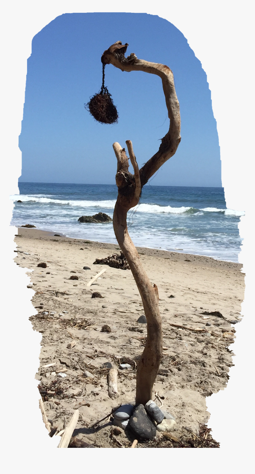 Driftwood, HD Png Download, Free Download