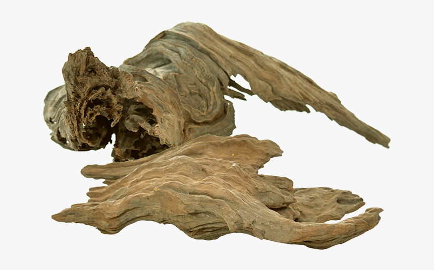 Driftwood, HD Png Download, Free Download