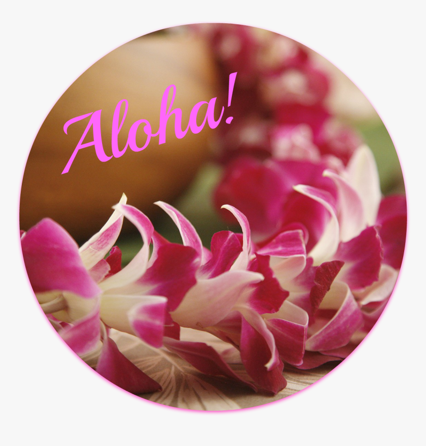 I Assume You Know What A Lei Is - Hawaiian Lei Flowers Wedding, HD Png Download, Free Download