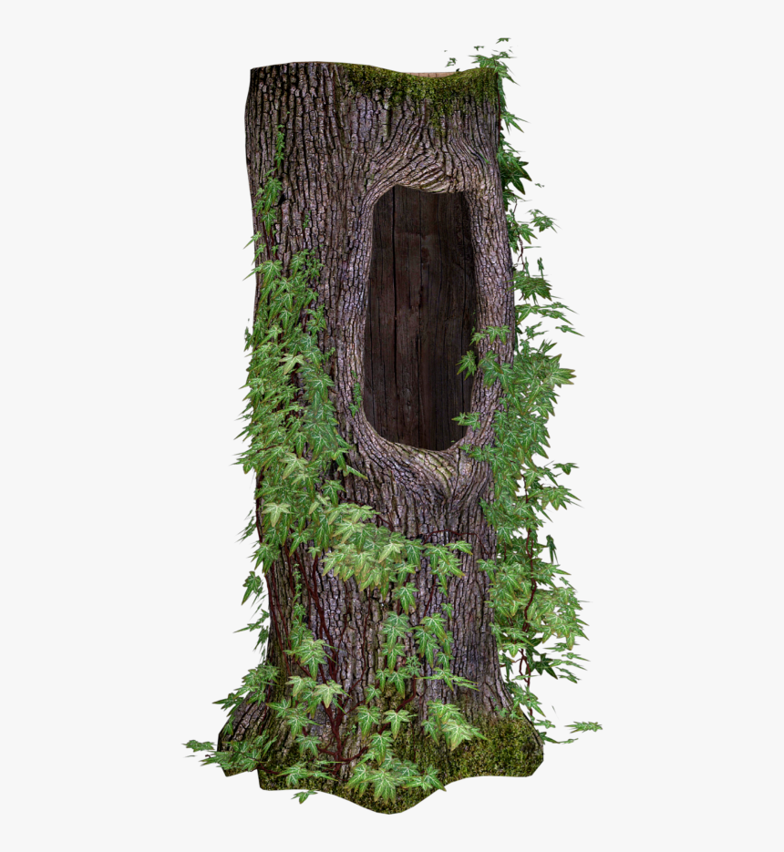 #ftestickers #tree #stump #ivy - Tree Stump Transparent, HD Png Download, Free Download