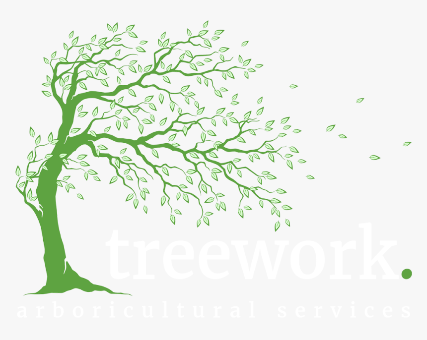 Arboricultural Services Treework Ltd - نقاشی درخت فصل بهار, HD Png Download, Free Download