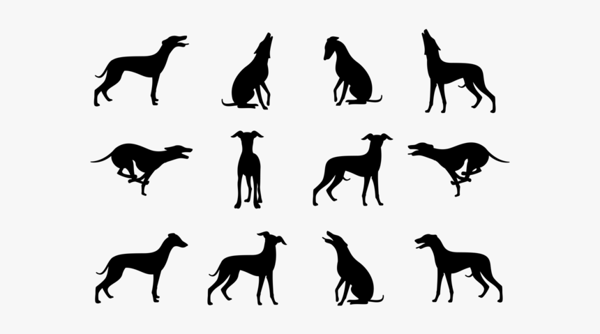 Whippet Silhouettes Vector - Greyhound Clip Art, HD Png Download, Free Download