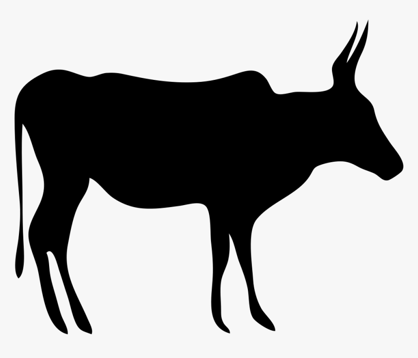 Texas Longhorn English Longhorn Beef Cattle Drawing - Cow Clipart Black, HD Png Download, Free Download