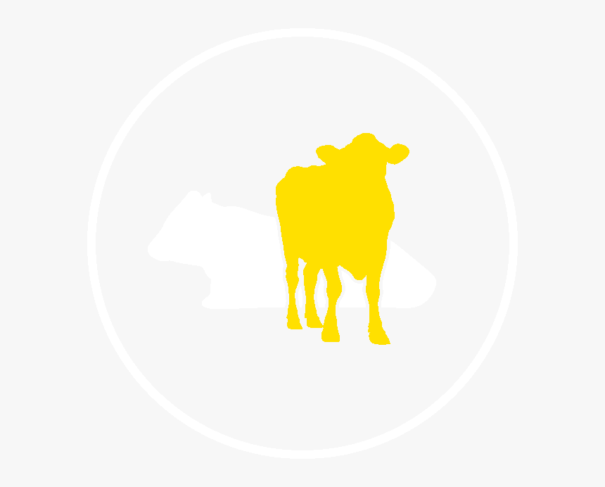 Bull, HD Png Download, Free Download