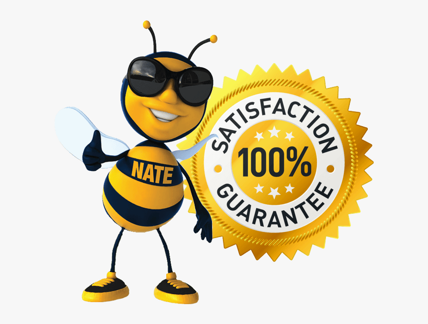 Satisfaction Guarantee No Stinger Promise - Money Back Guarantee, HD Png Download, Free Download