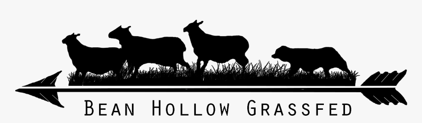 Newlogo - Bean Hollow Grassfed Logo, HD Png Download, Free Download