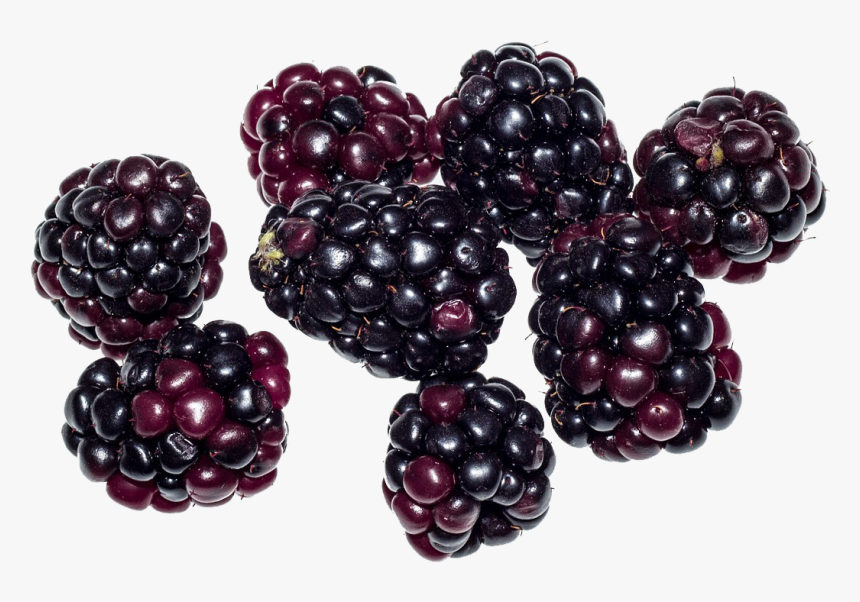 Blackberry Fruit Png Image - Blackberry Fruit Png, Transparent Png, Free Download