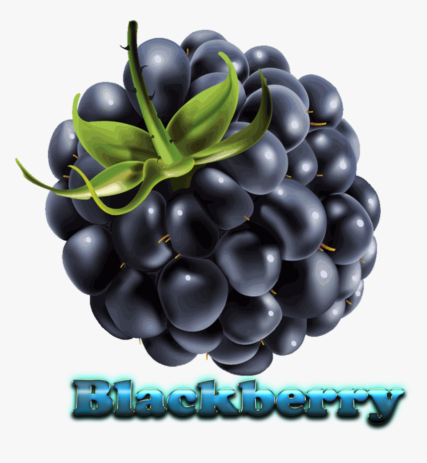 Blackberry Free Download Png - Ежевика На Прозрачном Фоне, Transparent Png, Free Download