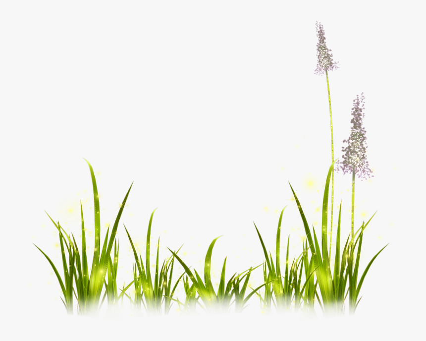 Portable Network Graphics Image Clip Art Lavender Painting - Transparent Background Free Garden Clipart, HD Png Download, Free Download