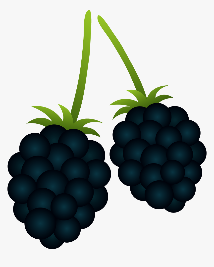 Blackberry Cliparts - Blackberry Clipart, HD Png Download, Free Download