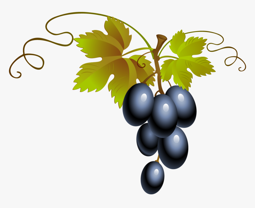 Grape, HD Png Download, Free Download