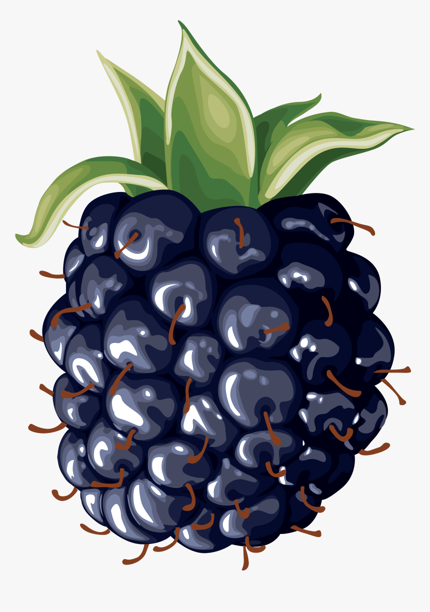Clip Art Black And White Download Blackberry Drawing - Blackberry Clipart, HD Png Download, Free Download