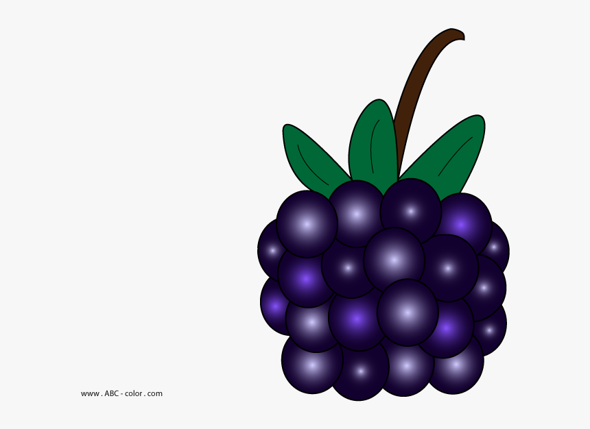 Berry Vector Blackberry - Blackberry Pie, HD Png Download, Free Download