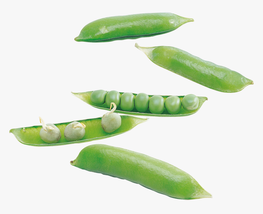 Pea Png - Snap Pea, Transparent Png, Free Download