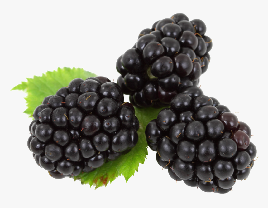 Blackberry Png Image - Black Bari Fruit, Transparent Png, Free Download