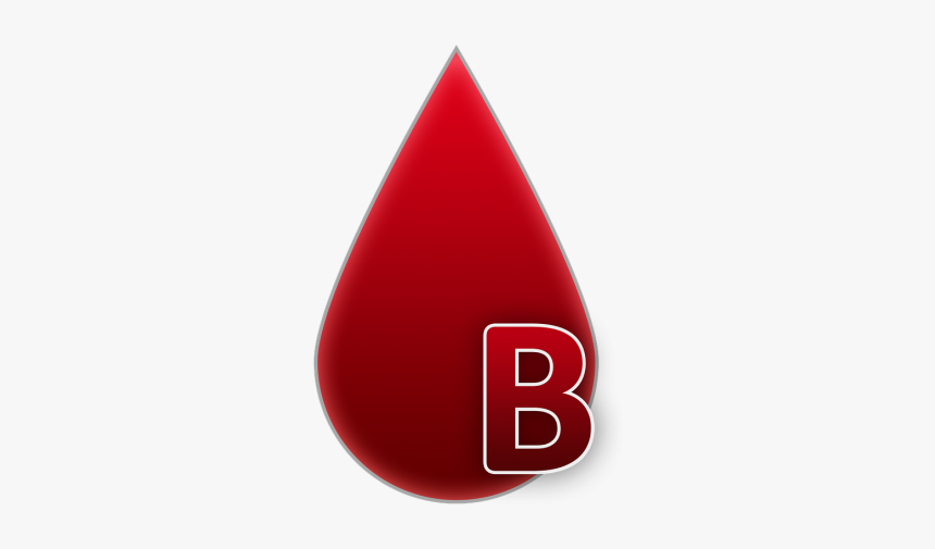 Blood Group B Blood - Grupo B Sanguineo, HD Png Download, Free Download