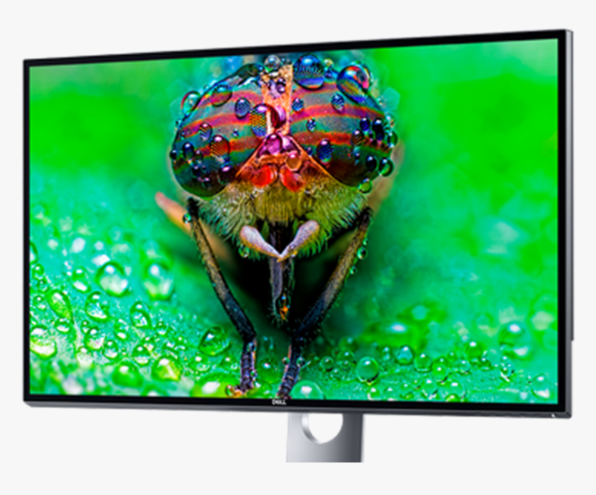 Dell 8k Monitor, HD Png Download, Free Download