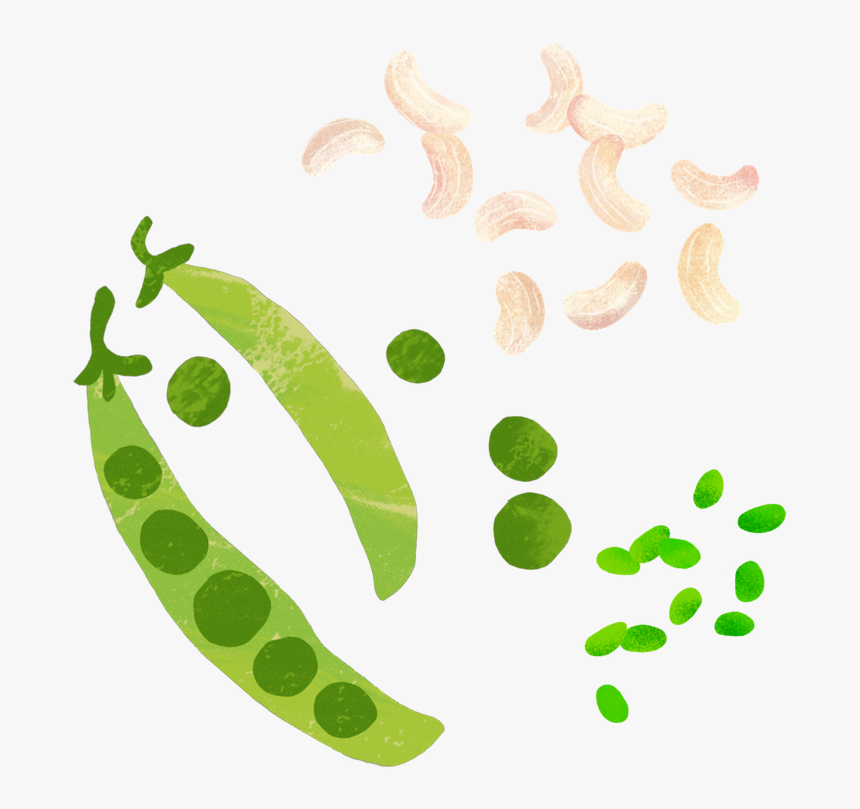 Transparent Peas Clipart - Snow Peas, HD Png Download, Free Download